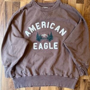 American Age Brown Crewneck Sweater